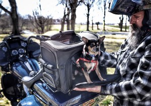 Photo of man standing next to Rover on Black motorcycle with dog popping out